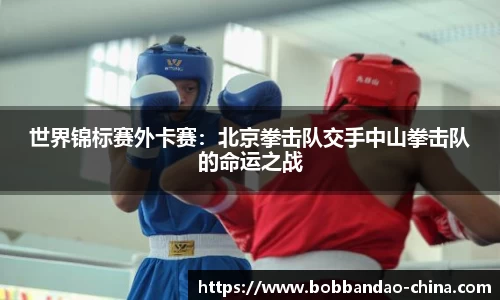 BOB半岛体育官方网站