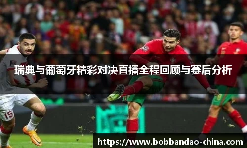 BOB半岛体育官方网站